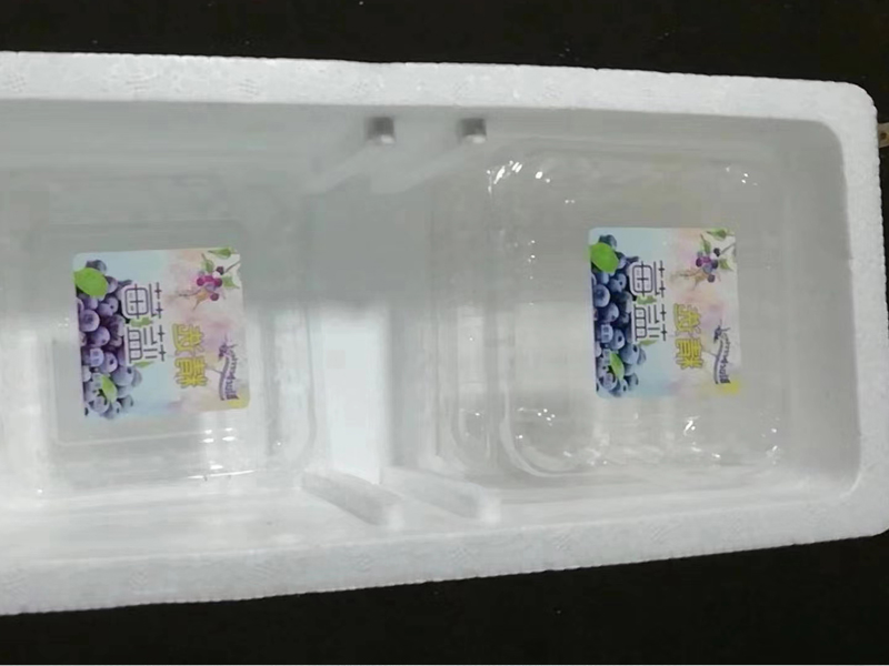 藍(lán)莓泡沫包裝盒