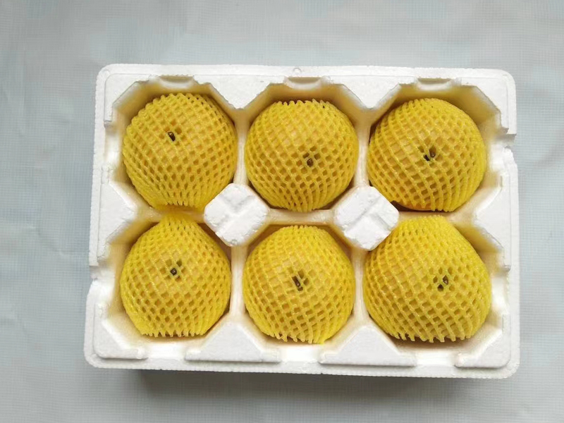 果托實(shí)拍