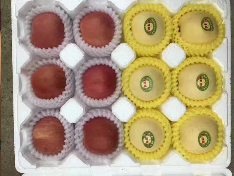 果托實(shí)拍